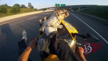 Motorcycle STUNTS Street Bike Stunt Rider Performs Long WHEELIE On Highway Riding Honda CBR600F4i