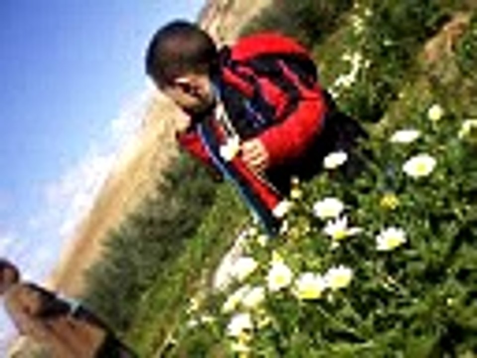 anes