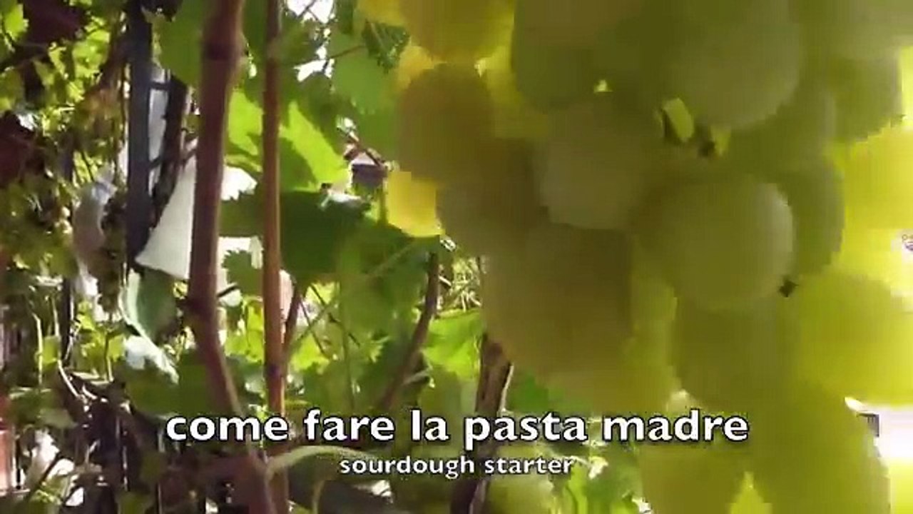 Come fare la pasta madre in due minuti