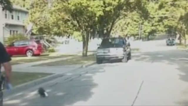 Un policier à la rescousse d’une mouffette coincée dans un pot de yaourt