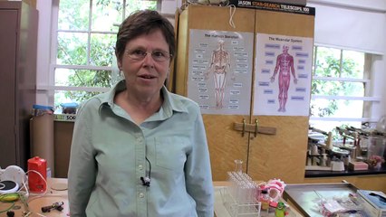 Voices of Open Access: Barbara Stebbins, Science Teacher