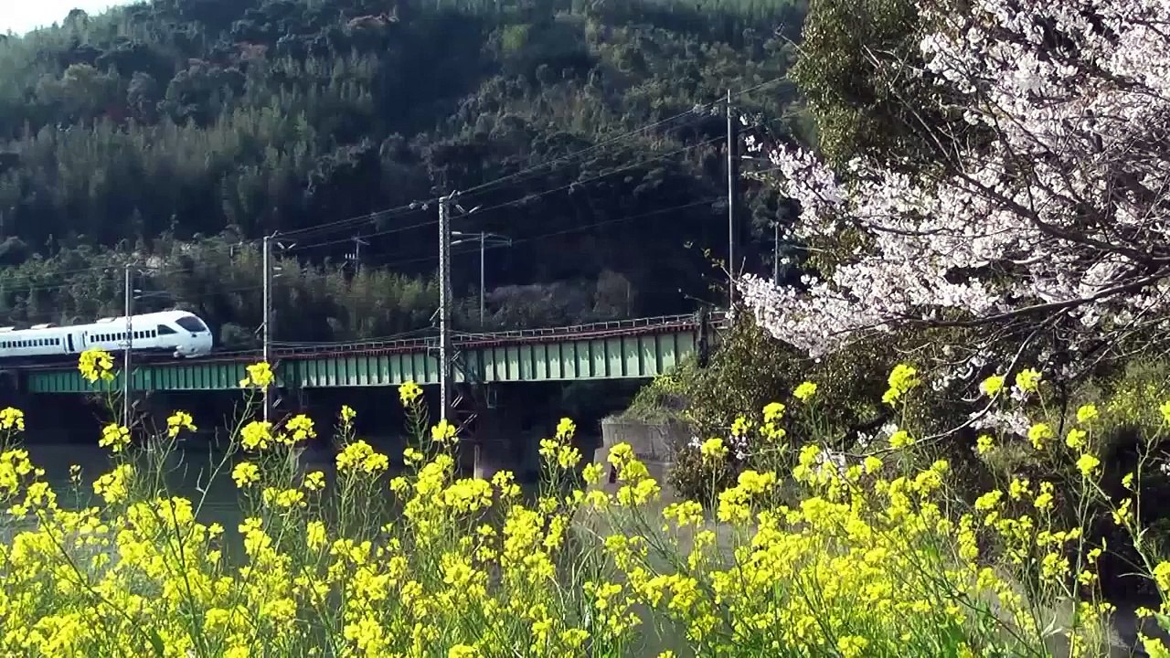 【鉄道PV】 JR九州 特急ソニック＆かもめ 885系  MAD風
