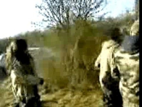 BLC 6tem [Teuf BLC-Oss 070407] Morso Pik