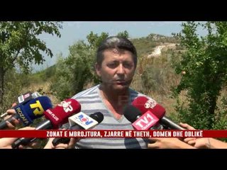 ZONAT E MBROJTURA, ZJARRE NË THETH, DOMEN DHE OBLIKË