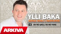 Ylli Baka - As ne qiell as ne toke (Official Audio)