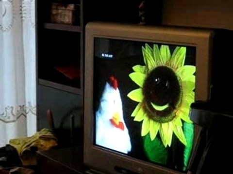 Anaïs regarde baby einstein