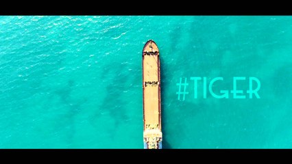 Ronela Hajati - #Tiger (Coming Soon)