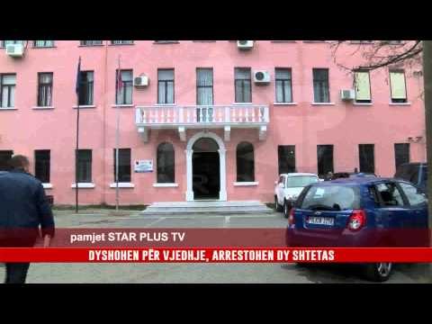 DYSHOHEN PËR VJEDHJE, ARRESTOHEN DY SHTETAS
