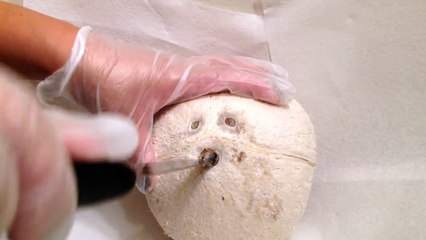 How to Open and Eat a Coconut