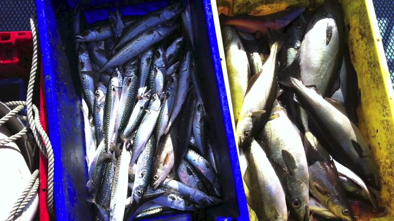 Fishing. West coast of Ireland Sligo & Galway 2012