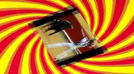 DESENCAJONADA Y CONCURSO DE RECORTES MAGDALENA 2010.avi