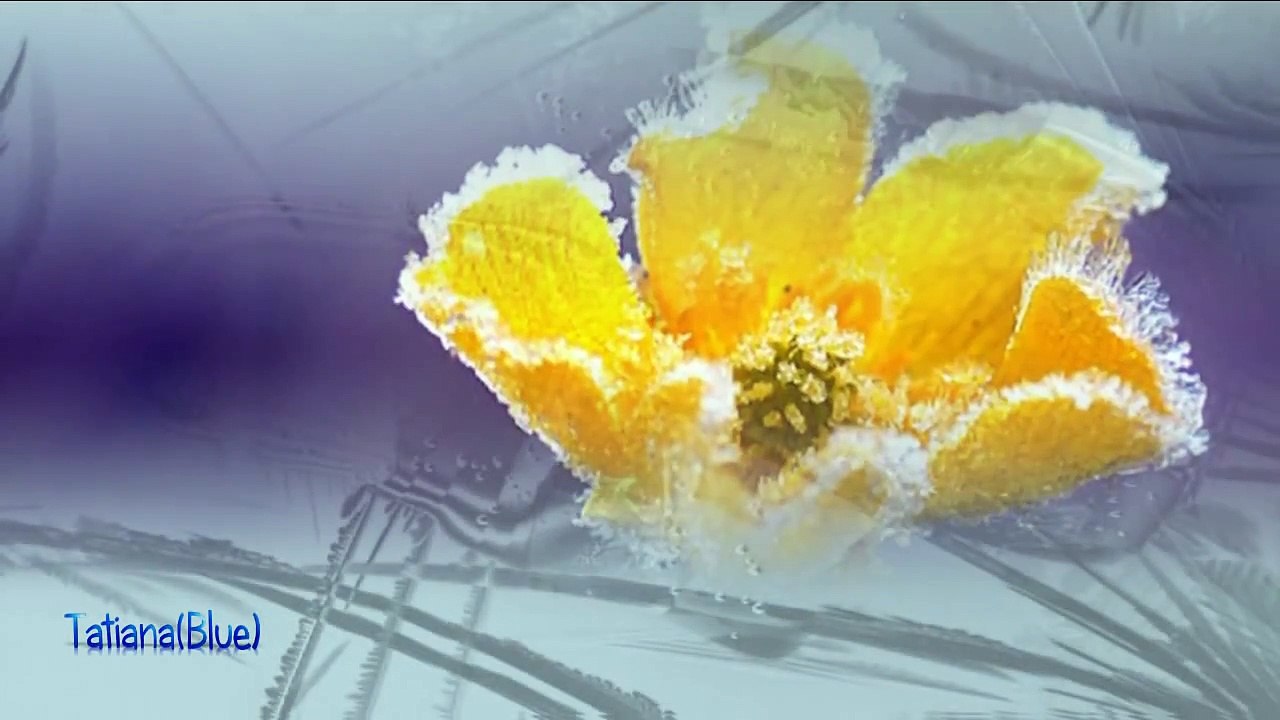 Secret Garden  - Lament for a Frozen Flower
