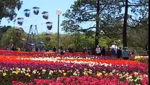 Floriade - Canberra's Flower Festival