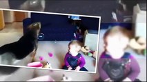 Funny Videos Of Babies Dancing | Dancing Babies Funny Videos | August 2015 Pocola