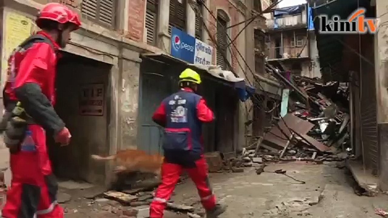 Anjing pengesan terbabit dalam operasi menyelamat