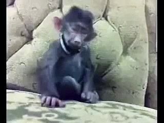 VID-20150504-WA0000.mp4