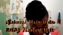 Natural Hair Updo- 4C hair