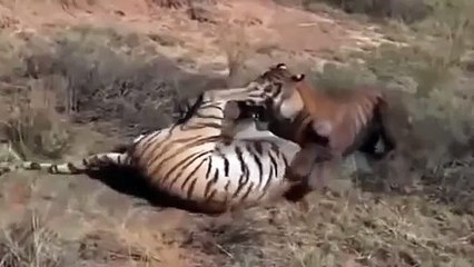 Q수원출장안마Σ０１０￣２１６５￣２７７６∧미인시대