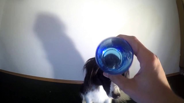 Proof That You Can Teach an Old Dog New Tricks