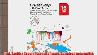 SanDisk Cruzer Pop 16GB USB-Stick USB 2.0 Paint
