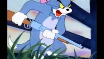Tom and Jerry 064 The Duck Doctor Cartoon 1951 HD