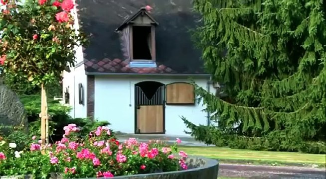 Haras d'Haspel Elevage