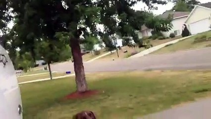 1998 ford f150 4.6l triton v8