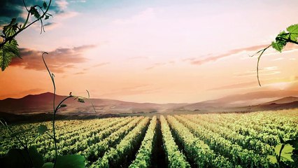 Cristiano Ronaldo CR7 in OUT OF THIS WORLD