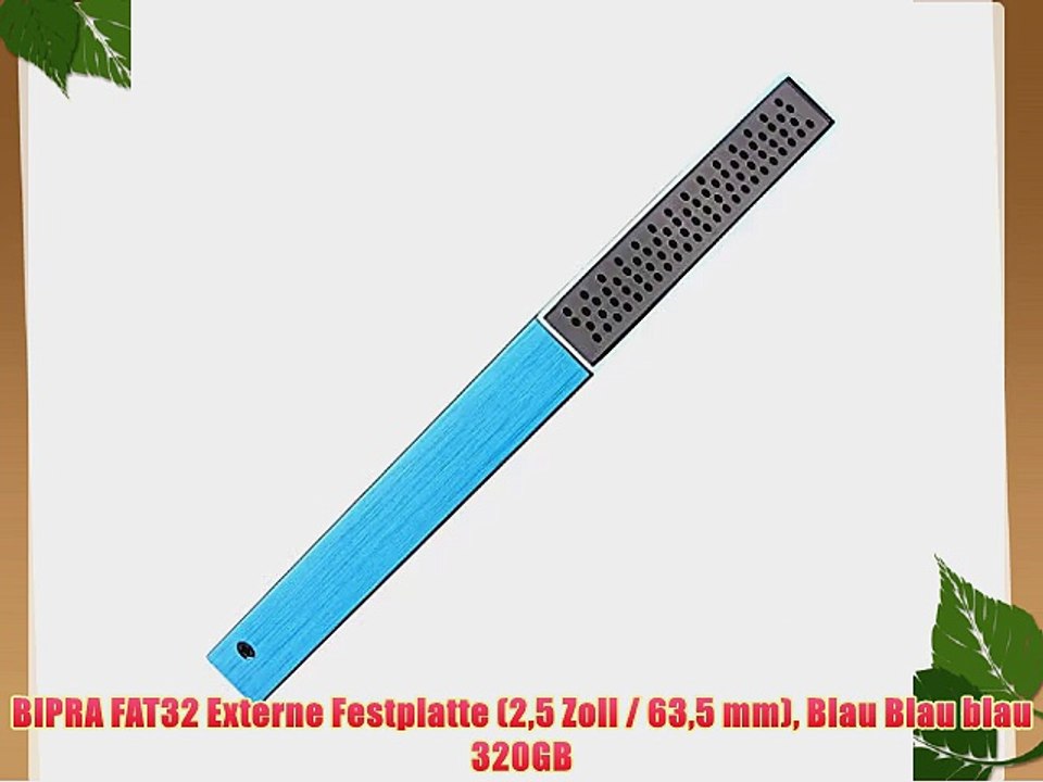 BIPRA FAT32 Externe Festplatte (25?Zoll?/ 635?mm) Blau Blau blau 320GB