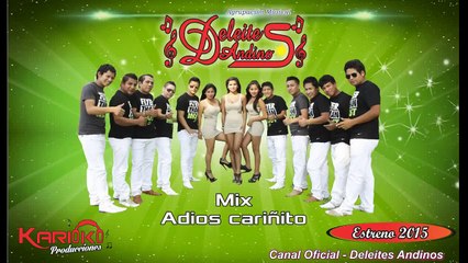MIX ADIOS CARIÑITO - DELEITES ANDINOS (Febrero - 2015)