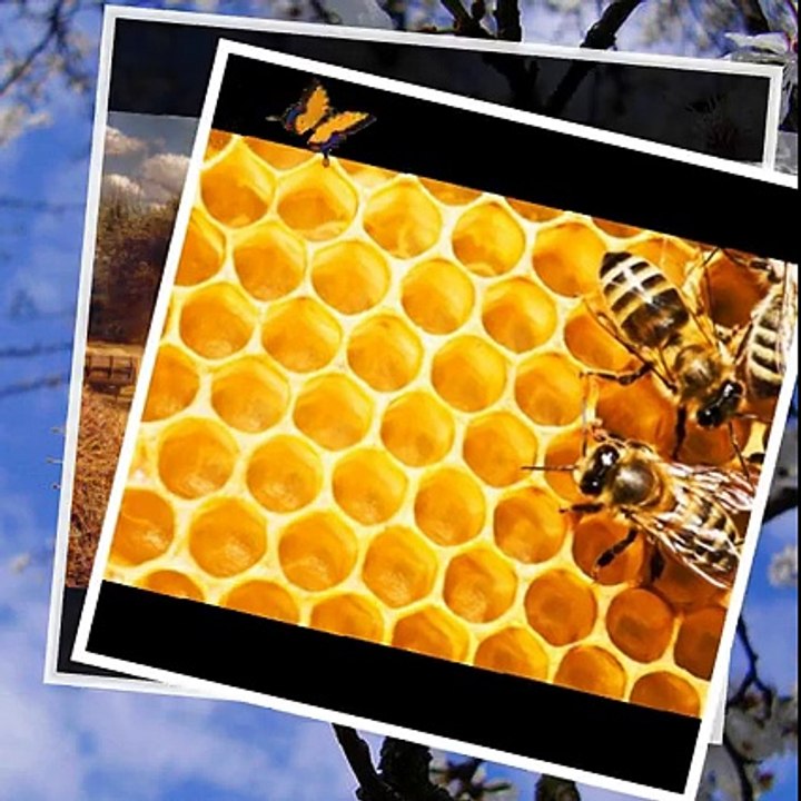 Erkan Ergezer Selçuk Ballıkaya / Ardahan Türküleri Kanalımızda