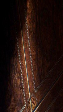 trim.D23481D2-E784-4B0A-9526-1C574F2EBD47