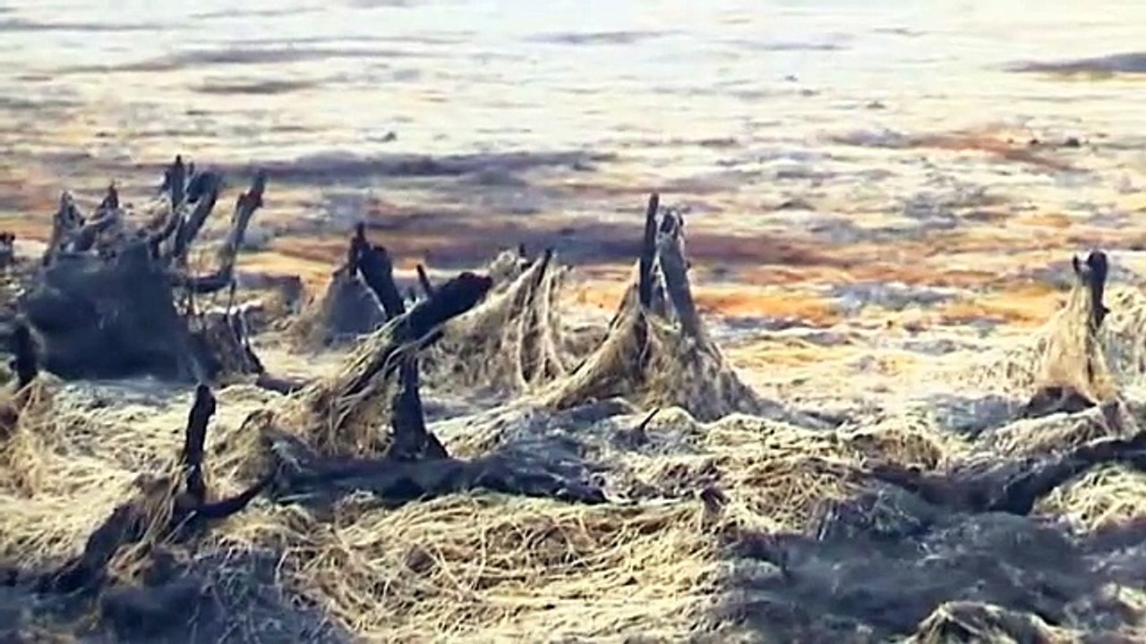 Série d’été de France 3 Auvergne – Randan épisode 5