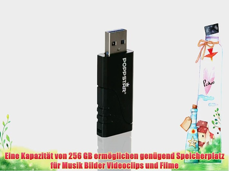 Poppstar 1004616 256GB Speicherstick USB 3.0 schwarz