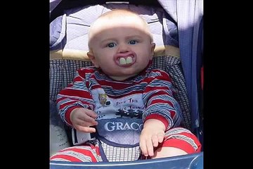 Funny Pictures from around the internet   funny pics taken at the right moment