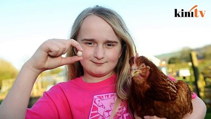 Telur ayam terkecil dunia sebesar syiling 20 sen