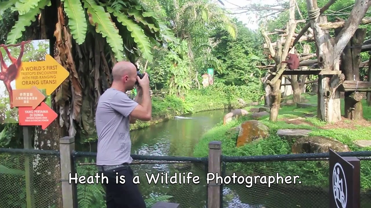 Singapore Zoo: Zoo Hoo Lets Play Work (2010): I Wanna Be A Wildlife Photographer