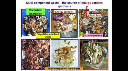 Biotechnology  Bio hydrogen from food waste  Tashyrev
