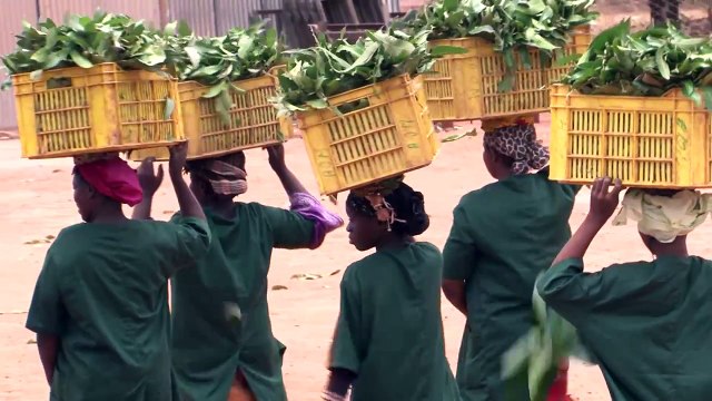 EDD 2015: Growing Agriculture, Growing jobs (Trailer)