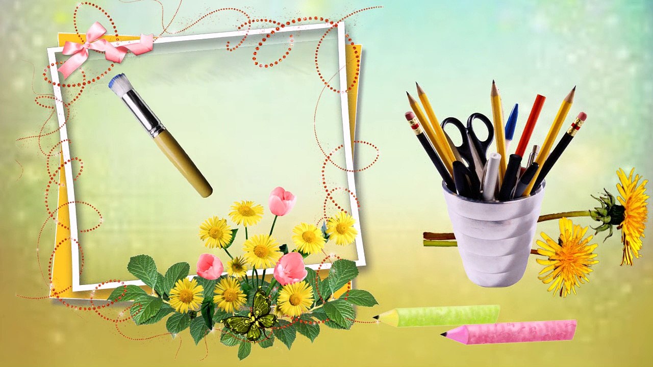 The Most Beautiful Butterflies in the World