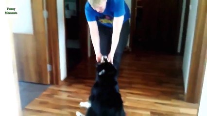 Funny videos Funny pranks Try not to laugh Funny girls Fail compilation 2015