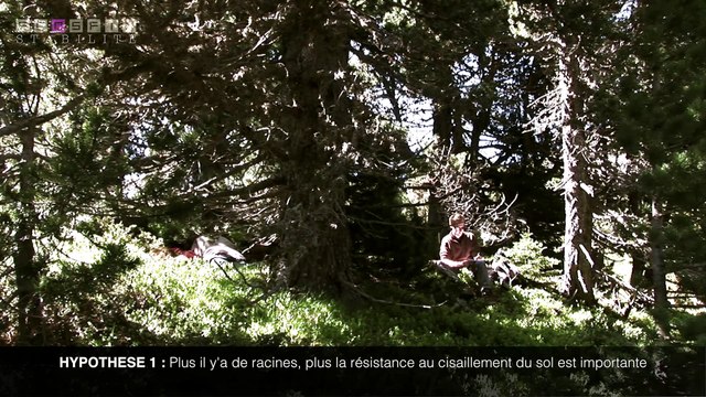 ECOSFIX - Comment les racines influent-elles sur la stabilité des pentes ?