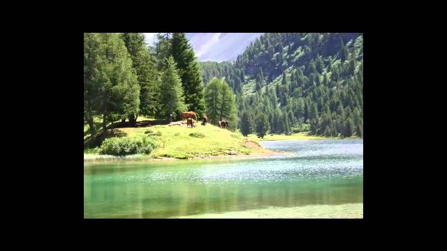 Poezi Gurbeti Lexoi Dani Realizoi RADIO ZERI ILIRIDES