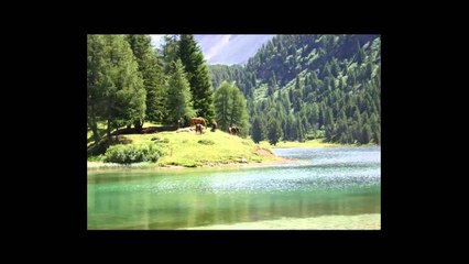 Poezi Gurbeti Tekst dhe lexoi Dani Realizoi Radio Zeri Ilirides