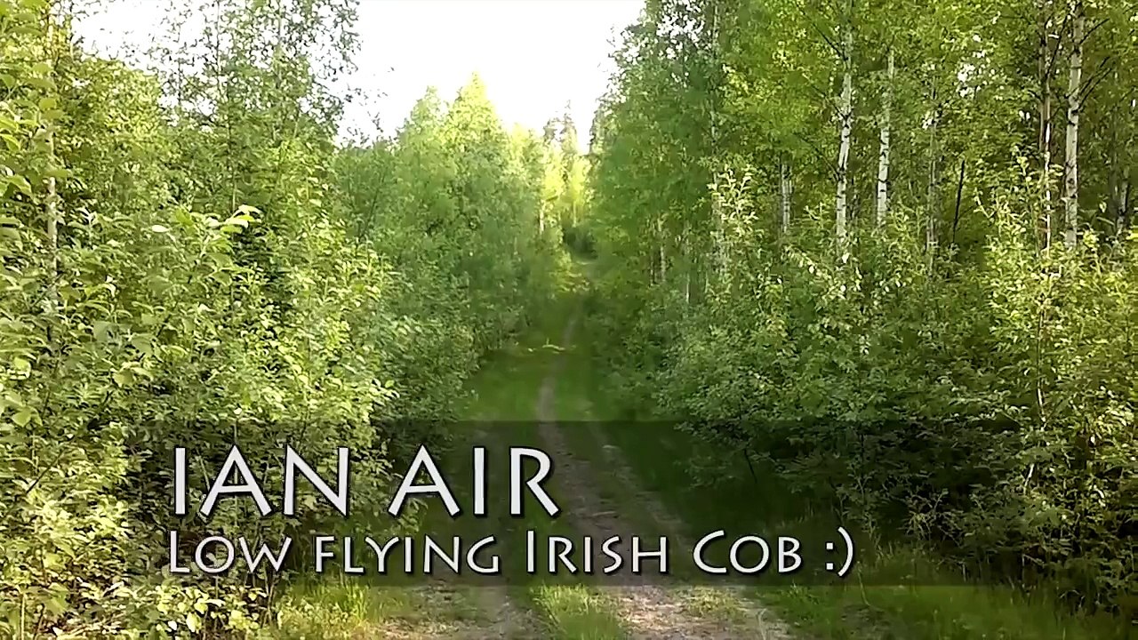 "Ian Air" -  A low flying Irish cob galloping on a forest road :)