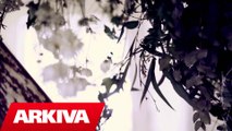 Adelina Ndoj - Nusja jone (Official Video HD)