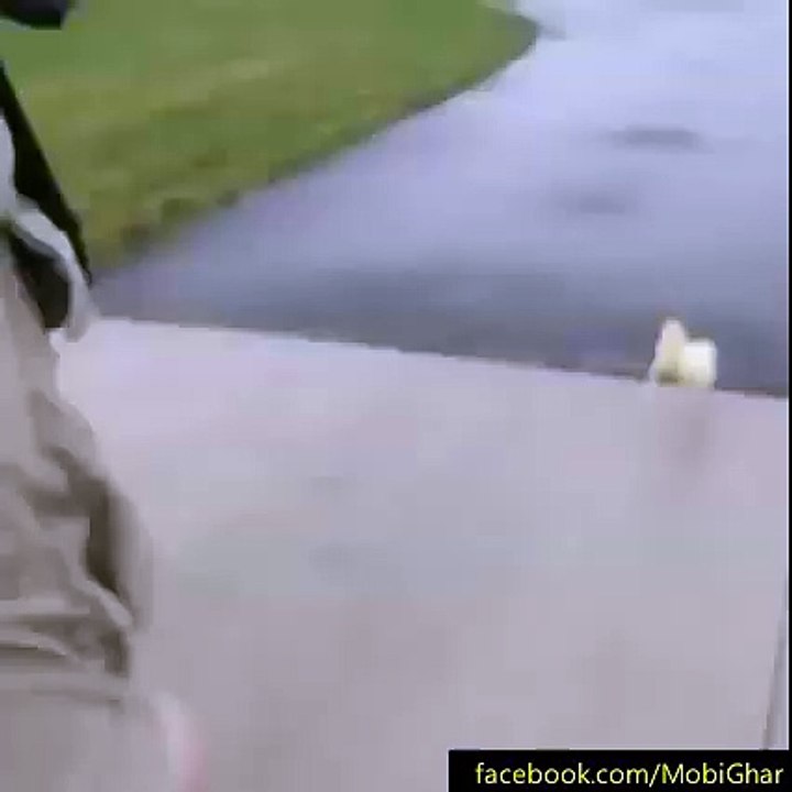 Duck going for a run with his friend