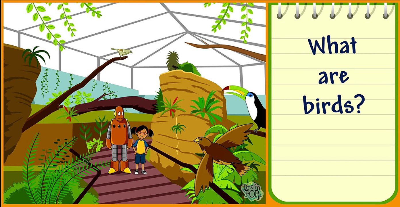 Classifying Animals (BrainPOP Jr.) video Dailymotion