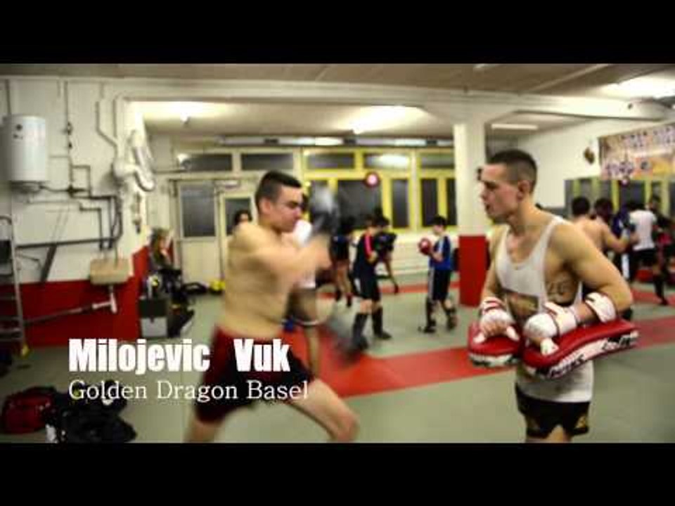 Golden Dragon Videos - VUK