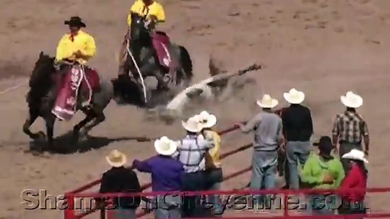 Cruelty, Death at 2011 Cheyenne Rodeo Wild Horse Race